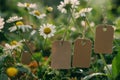 Eco-friendly Plant Tagging in Blooming Garden