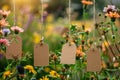 Eco-friendly Plant Tagging in Blooming Garden