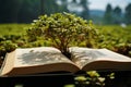 Eco friendly process Creating paper for textbooks through sustainable planting methods