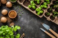 Eco-friendly seedling growth with basil plants in biodegradable pots, surrounded by earthy tones and organic gardening tools on a