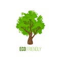 Eco friendly sign with green tree