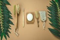 eco friendly spa kit, massage brush, bamboo toothbrush, pumice, wooden comb, natural soap, loofah sponge Royalty Free Stock Photo