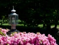 Eco-Friendly Street Light in Rose Bush Royalty Free Stock Photo