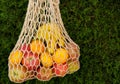 Eco-friendly string, mesh reusable net bag with fruits
