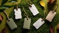 Eco-Friendly Tags on Green Moss Background with Autumn Leaves Royalty Free Stock Photo