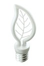 Eco friendly technology: leaf or folium light bulb