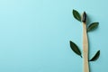 Eco friendly toothbrush with toothpaste and leaves on blue background