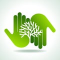 Eco friendly tree in hands illustration