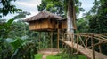 Eco-friendly treehouse with wooden bridge in tropical forest