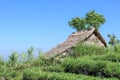 Eco-friendly Tribal Hut in fields having thatched roof, made from biodegradable Bamboo Straws and sticks. A Typical house form of