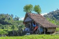 Eco-friendly Tribal Hut in fields having thatched roof, made from biodegradable Bamboo Straws and sticks. A Typical house form of