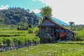 Eco-friendly Tribal Hut in fields having thatched roof, made from biodegradable Bamboo Straws and sticks. A Typical house form of