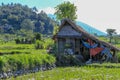 Eco-friendly Tribal Hut in fields having thatched roof, made from biodegradable Bamboo Straws and sticks. A Typical house form of