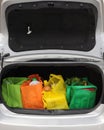 Eco-Friendly Trunk Royalty Free Stock Photo