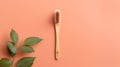 Eco-friendly zeb brush made of wood with plant bristles, caring for the environment. Royalty Free Stock Photo