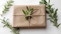 Eco gift wrapping with brown craft paper, jute twine and green plant decoration. Top view on white table background