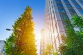 Eco green city office building outdoor Royalty Free Stock Photo