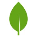 Eco green color leaf vector logo flat icon.