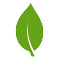 Eco green color leaf vector logo flat icon