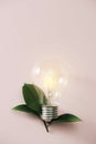 Eco green energy concept bulb, lightbulb leaves on pink background Royalty Free Stock Photo