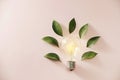 Eco green energy concept bulb, lightbulb leaves on pink background Royalty Free Stock Photo