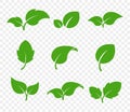 Eco green foliage. Leaf eco logo. Vector flat icon set. Vegetarian organic plant.