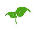 Eco green foliage. Leaf eco logo. Vector flat icon set. Vegetarian organic plant. Royalty Free Stock Photo