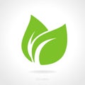 Eco green leaf concept Royalty Free Stock Photo