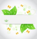 Eco green leaves with with butterfly