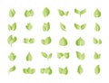 Eco, green, leaves icon set. Vector illustration Royalty Free Stock Photo