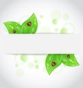 Eco green leaves with ladybugs Royalty Free Stock Photo