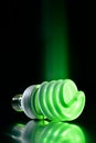 Eco green light bulb Royalty Free Stock Photo