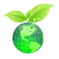 eco green world