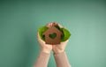 Eco House, Carbon Neutral Concepts. Clean Energy. Green Power. Hands Holding a Craft Papaer House and Green Leaf. Sustainable