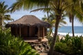 Eco-house or eco-bungalow with a small cozy terrace, surrounded by palm trees on the ocean, ecotourism concept