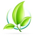 ECO icon