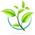 ECO icon