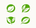 Eco icon green leaf. Organic symbol or logo vector