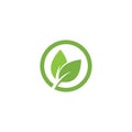 Eco icon green leaf vector illustration. Royalty Free Stock Photo