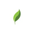 Eco icon green leaf vector illustration Royalty Free Stock Photo