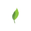 Eco icon green leaf vector illustration Royalty Free Stock Photo