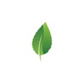 Eco icon green leaf vector illustration Royalty Free Stock Photo