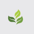 Eco icon green leaf vector illustration template Royalty Free Stock Photo