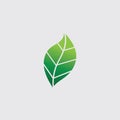 Eco icon green leaf vector illustration template Royalty Free Stock Photo