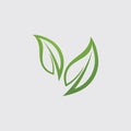 Eco icon green leaf vector illustration template Royalty Free Stock Photo