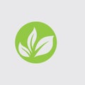 Eco icon green leaf vector illustration template Royalty Free Stock Photo