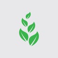 Eco icon green leaf vector illustration template Royalty Free Stock Photo