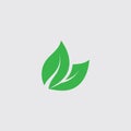 Eco icon green leaf vector illustration template Royalty Free Stock Photo