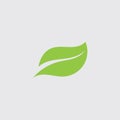 Eco icon green leaf vector illustration template Royalty Free Stock Photo