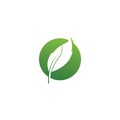 Eco icon green leaf vector illustration